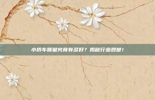 小挢车质量究竟有多好？揭秘行业翘楚！