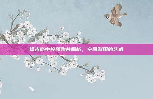 福克斯中控储物台解析，空间利用的艺术