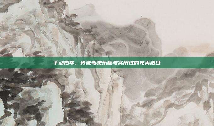 手动挡车，传统驾驶乐趣与实用性的完美结合