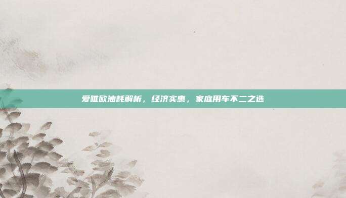 爱唯欧油耗解析，经济实惠，家庭用车不二之选
