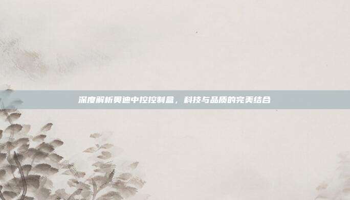 深度解析奥迪中控控制盒，科技与品质的完美结合