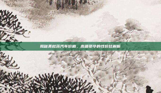揭秘美杜莎汽车价格，高端豪华的性价比解析