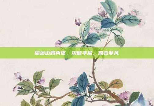 探秘迈腾内饰，功能丰富，体验非凡
