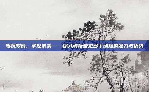 驾驭激情，掌控未来——深入解析普拉多手动档的魅力与优势