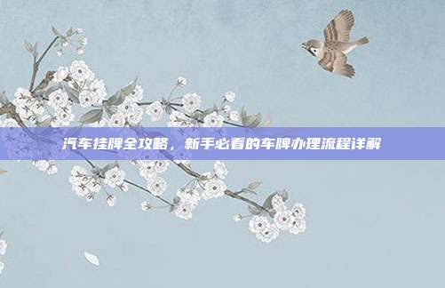 汽车挂牌全攻略，新手必看的车牌办理流程详解