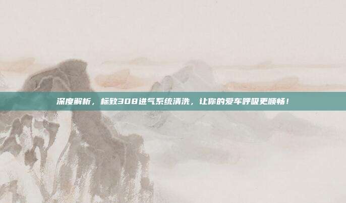 深度解析，标致308进气系统清洗，让你的爱车呼吸更顺畅！