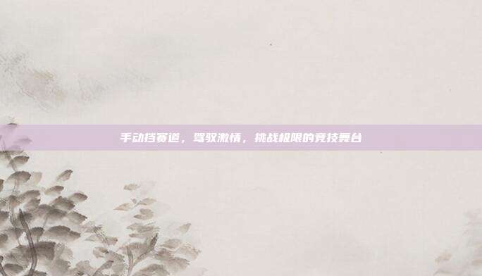 手动挡赛道，驾驭激情，挑战极限的竞技舞台