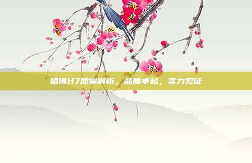 哈佛H7质量解析，品质卓越，实力见证