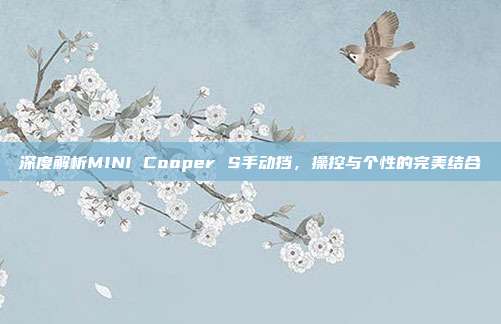深度解析MINI Cooper S手动挡，操控与个性的完美结合