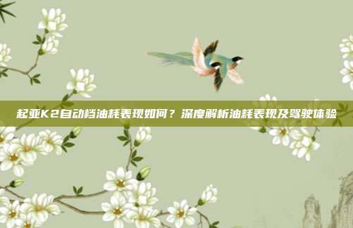 起亚K2自动档油耗表现如何？深度解析油耗表现及驾驶体验