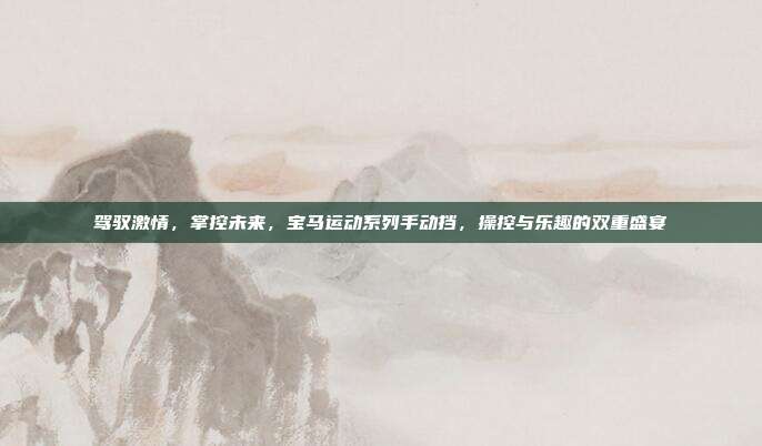 驾驭激情，掌控未来，宝马运动系列手动挡，操控与乐趣的双重盛宴