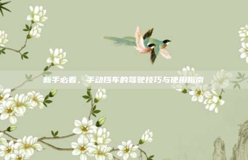 新手必看，手动挡车的驾驶技巧与使用指南