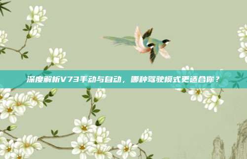 深度解析V73手动与自动，哪种驾驶模式更适合你？