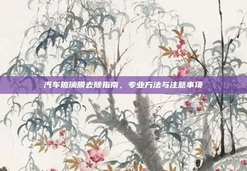 汽车玻璃膜去除指南，专业方法与注意事项