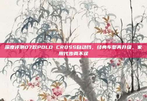 深度评测07款POLO CROSS自动挡，经典车型再升级，家用代步两不误