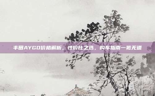 丰田AYGO价格解析，性价比之选，购车指南一览无遗