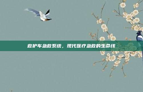救护车急救系统，现代医疗急救的生命线