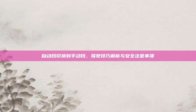 自动挡切换到手动挡，驾驶技巧解析与安全注意事项