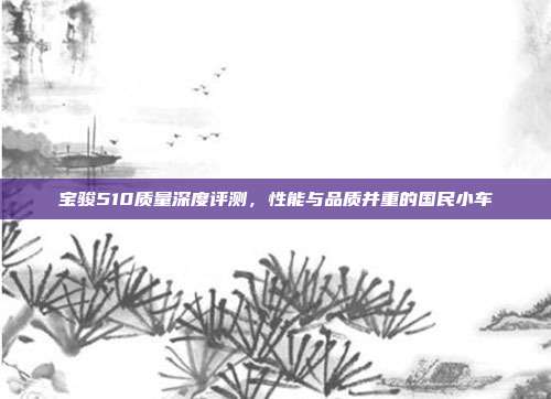 宝骏510质量深度评测，性能与品质并重的国民小车