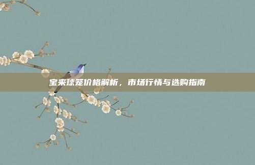 宝来球笼价格解析，市场行情与选购指南