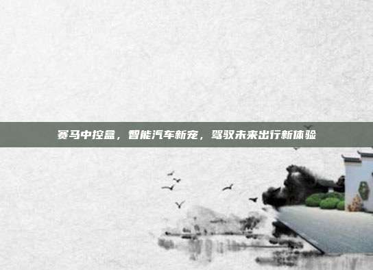 赛马中控盒，智能汽车新宠，驾驭未来出行新体验