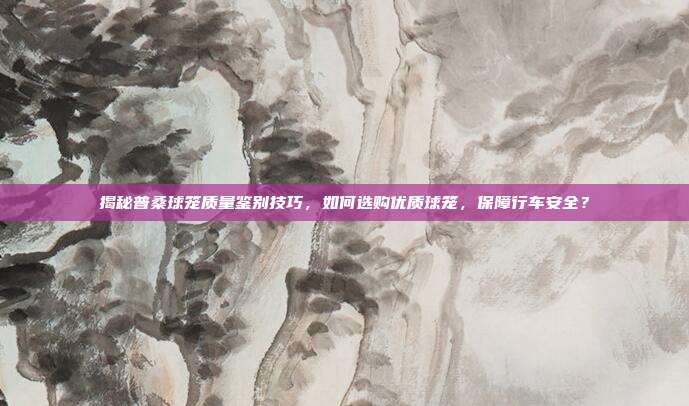 揭秘普桑球笼质量鉴别技巧，如何选购优质球笼，保障行车安全？