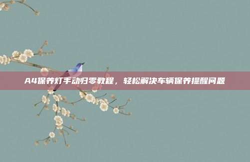 A4保养灯手动归零教程，轻松解决车辆保养提醒问题