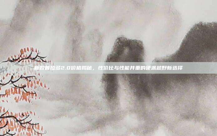 新款普拉多2.0价格揭秘，性价比与性能并重的硬派越野新选择