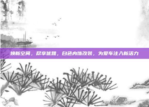 焕新空间，尽享优雅，白色内饰改装，为爱车注入新活力