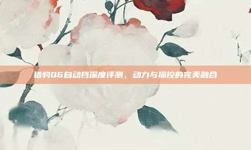 猎豹Q6自动挡深度评测，动力与操控的完美融合
