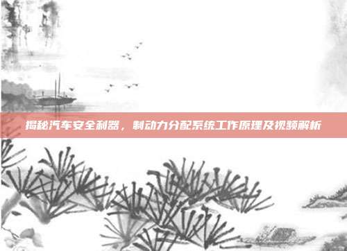 揭秘汽车安全利器，制动力分配系统工作原理及视频解析