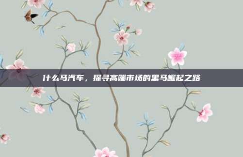 什么马汽车，探寻高端市场的黑马崛起之路