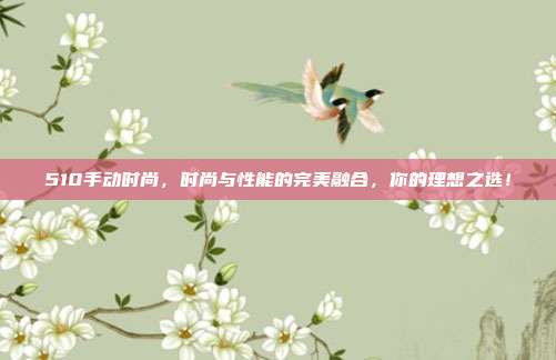510手动时尚，时尚与性能的完美融合，你的理想之选！