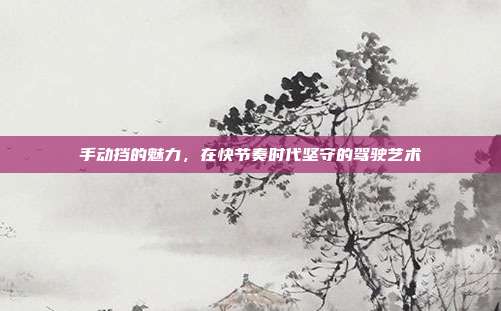 手动挡的魅力，在快节奏时代坚守的驾驶艺术