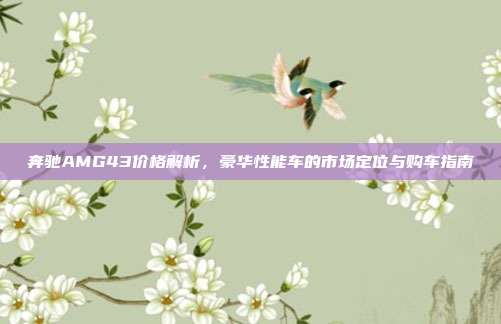 奔驰AMG43价格解析，豪华性能车的市场定位与购车指南