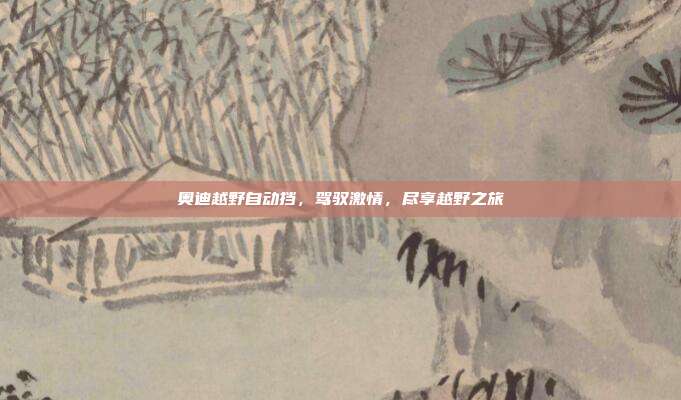 奥迪越野自动挡，驾驭激情，尽享越野之旅