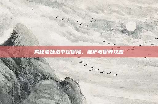 揭秘老捷达中控保险，维护与保养攻略