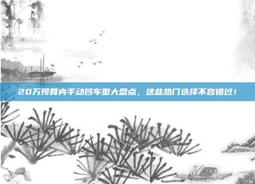 20万预算内手动挡车型大盘点，这些热门选择不容错过！