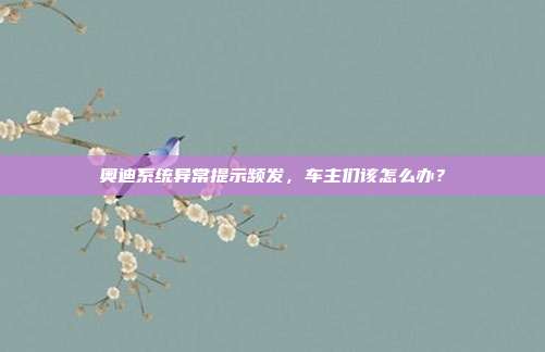 奥迪系统异常提示频发，车主们该怎么办？
