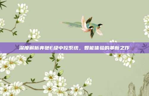 深度解析奔驰E级中控系统，智能体验的革新之作