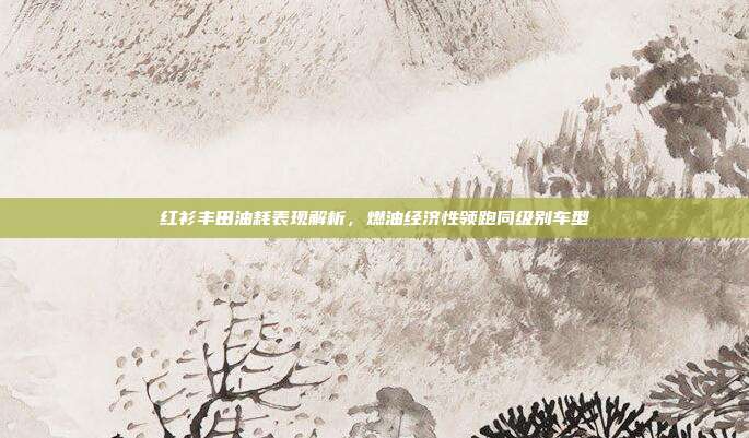 红衫丰田油耗表现解析，燃油经济性领跑同级别车型