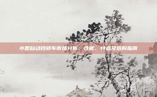 小型自动挡轿车市场分析，性能、特点及选购指南
