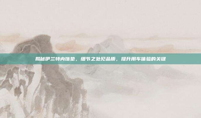 揭秘伊兰特内饰垫，细节之处见品质，提升用车体验的关键