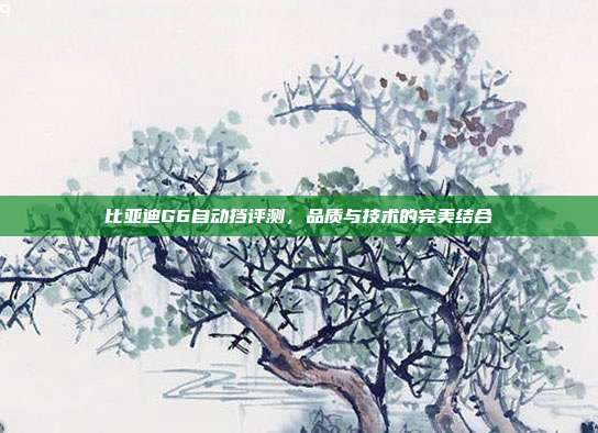 比亚迪G6自动挡评测，品质与技术的完美结合