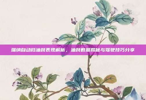 瑞纳自动档油耗表现解析，油耗数据揭秘与驾驶技巧分享