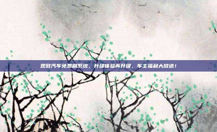 观致汽车免费刷系统，升级体验再升级，车主福利大放送！