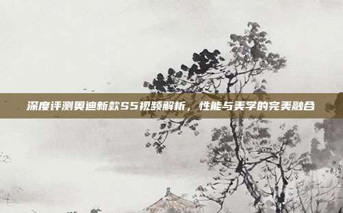 深度评测奥迪新款S5视频解析，性能与美学的完美融合