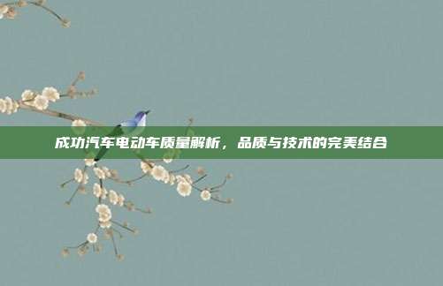 成功汽车电动车质量解析，品质与技术的完美结合