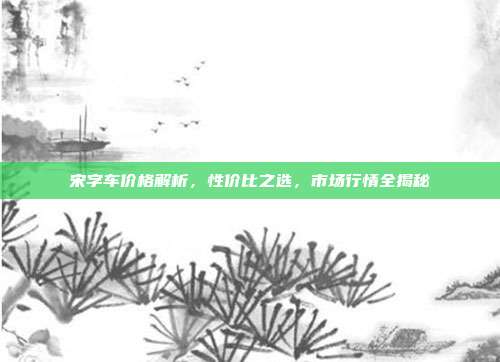 宋字车价格解析，性价比之选，市场行情全揭秘