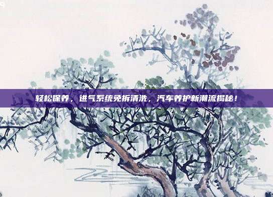 轻松保养，进气系统免拆清洗，汽车养护新潮流揭秘！